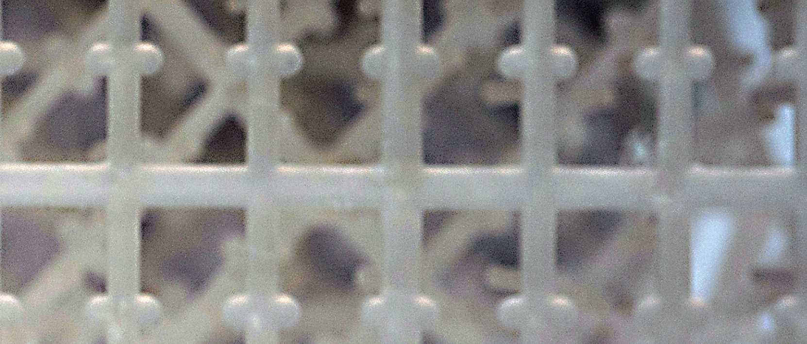 <br />
<b>Warning</b>:  Undefined variable $sesttings in <b>/nas/content/live/gradiant/wp-content/themes/gradiant_corporation/components/elementor/image-compare/render.php</b> on line <b>3</b><br />
<br />
<b>Warning</b>:  Trying to access array offset on value of type null in <b>/nas/content/live/gradiant/wp-content/themes/gradiant_corporation/components/elementor/image-compare/render.php</b> on line <b>3</b><br />
