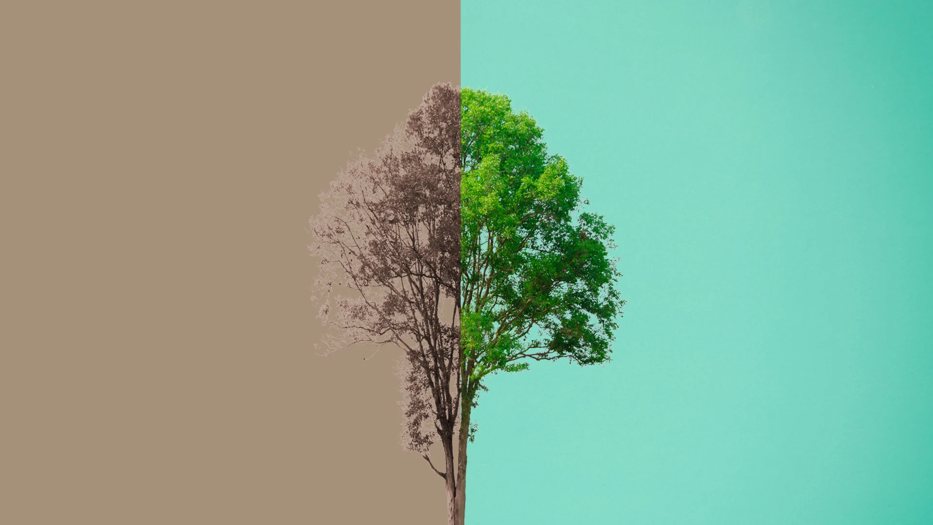 Water Scarcity is the First Signal of a Warming Planet | Fast Company